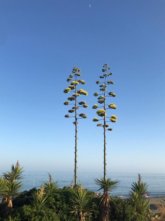 Marbella - Estepona Beach Frontline Apartment المظهر الخارجي الصورة